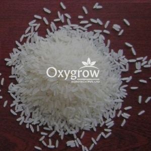 IR64 20% Broken Parboiled Non Basmati Rice