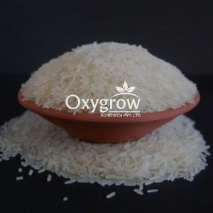IR64 25% Broken Parboiled Non Basmati Rice