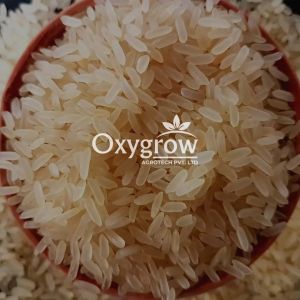 IR64 25% Broken Raw Non Basmati Rice