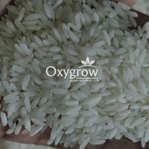 IR64 5% Broken Raw Non Basmati Rice