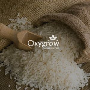 Ponni Non Basmati Rice