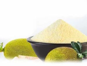 Dehydrated Jack Fruit Powder