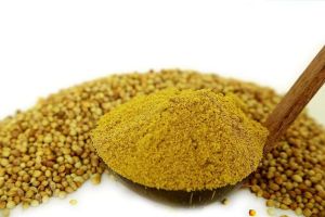 Dehydrated Coriander Powder