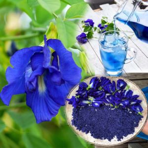 Dry Butterfly Pea Powder