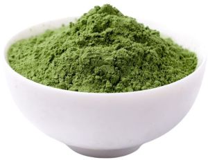 Dehydrated Mint Leaves Powder