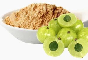 Dehydrated Amla Powder