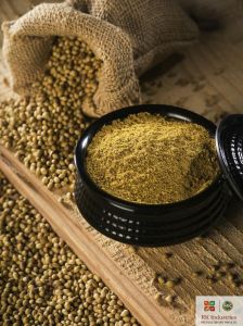 Dehydrated Coriander Powder