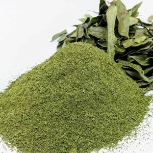Dehydrated Curry Leaves Powder