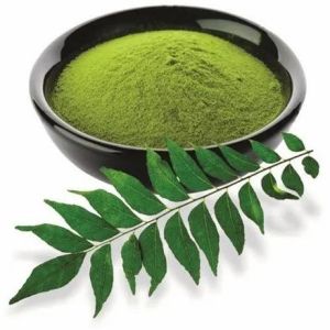 Dehydrated Curry Leaves Powder