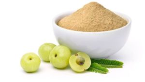 Dehydrated Amla Powder