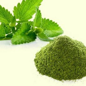 Dehydrated Mint Leaves Powder