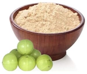 Dehydrated Amla Powder