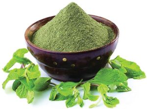 Dehydrated Mint Leaves Powder