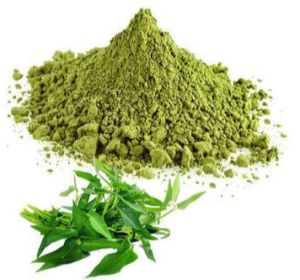Dehydrated Curry Leaves Powder