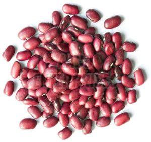 Adzuki Beans