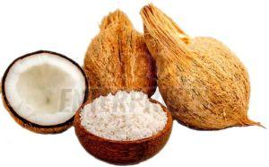 Coconut