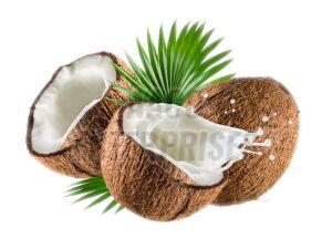 Coconut
