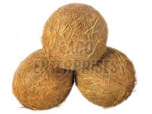 Coconut