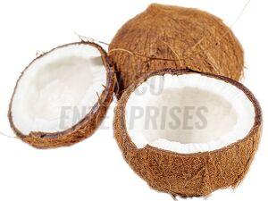 Coconut