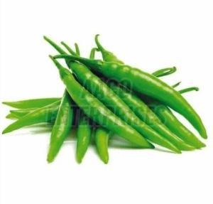 Fresh Green Chili