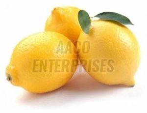 Fresh Lemon