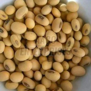 Soya Beans