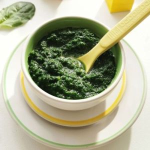 Canned Spinach Puree