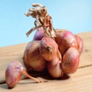 Fresh Red Onion