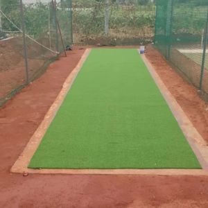 15 Mm Cricket Astro Turf