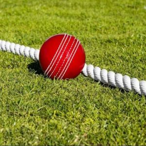Cricket Boundary Rope