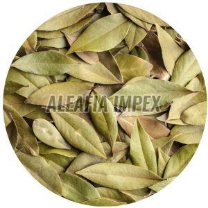 Bay Leaves
