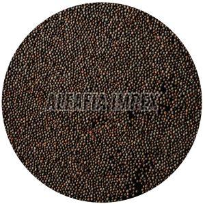 Black Mustard Seeds