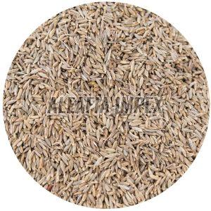 Brown Cumin Seeds
