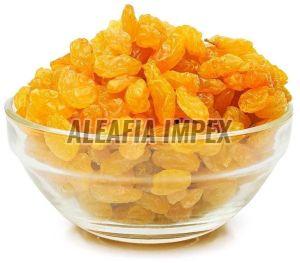 Golden Raisins