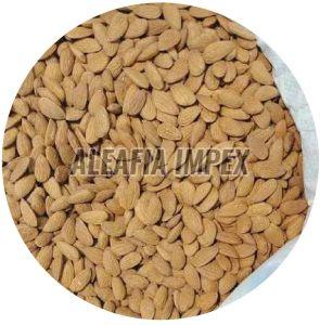 Independent Almond Nuts