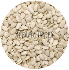 Watermelon Seeds