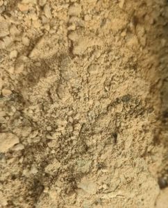 Sal Seed De Oiled Cake