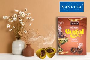 Nandita Acharya Guggal Dhoop Cup