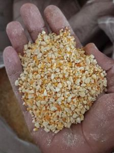 premium maize dry corn germs