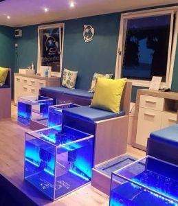 1 Seater Fish Spa Setup