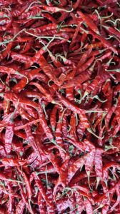 Dry Red Chilli