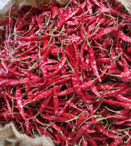 Dry Red Chilli