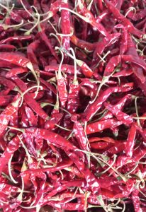 Dry Red Chilli