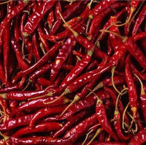 Dry Red Chilli