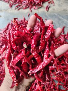Dry Red Chilli