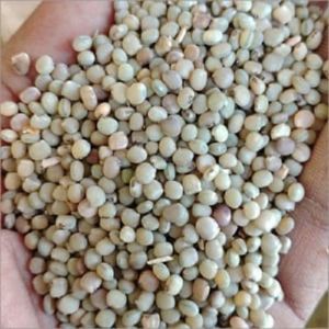 Guar Gum Seeds