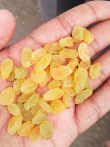 Sun Dried Golden Raisins