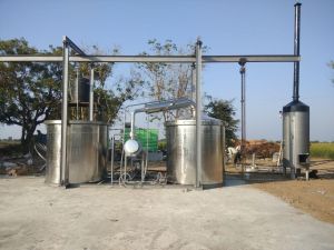 Echinacea Purpurea Extraction Plant