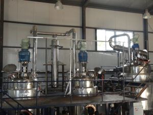 Ganuga Seed Extract Plant