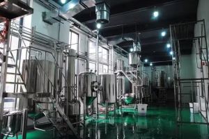 Ginkgo Biloba Extraction Plant